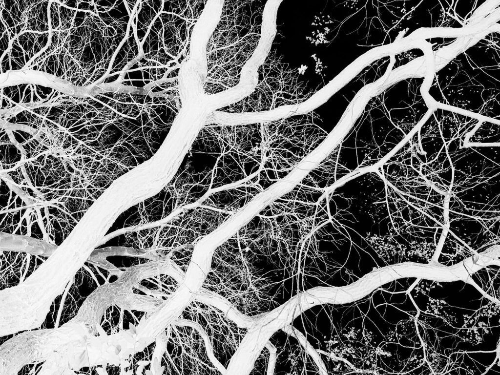 natureetdystopie_10