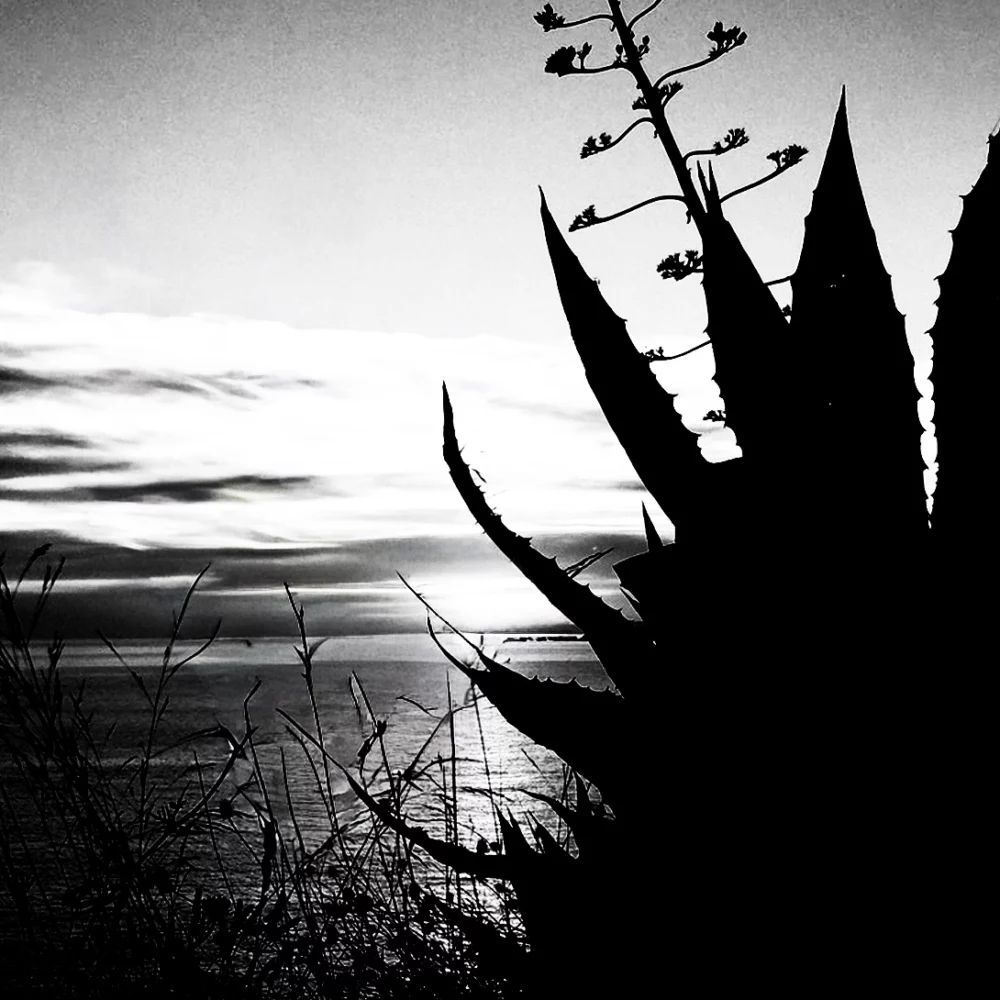 natureetdystopie_12