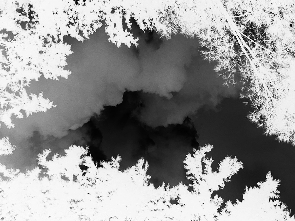 natureetdystopie_2