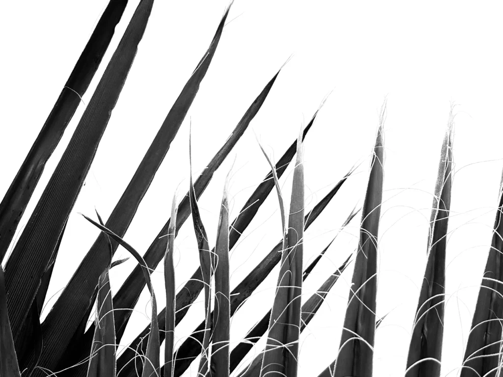 natureetdystopie_7